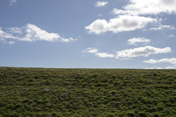 Deichlandschaft bei sonne ohne alles