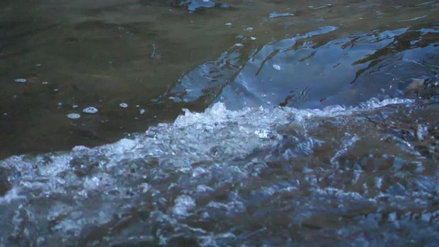 HD Floating Water of a small river in super slow motion