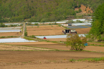 信州峠の田園風景