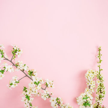 Frame of spring flowers on pink background. Flat lay, top view.