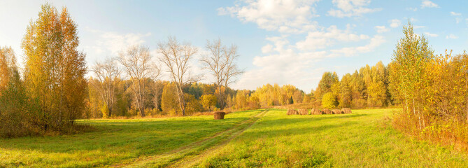 Landscape panorama with hay cocks and four leafless poplars in row on a green meadow against multicolored forest and blue sky background at sunny day of Indian summer. Nizhegorodsky region, Russia. 
