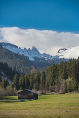 Swiss Alps pastoral landscape with wooden hut by the beginning of spring