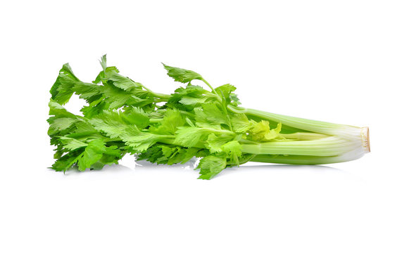 celery isolated on white background