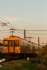 Fototapeta premium 夕方の黄色い電車