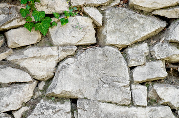 Closeup Of Wall Made Of Rocks With Green Ivy