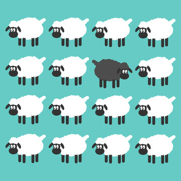 Stand Out From The Crowd Concept. Black Sheep Between White Sheep Vector Illustration.