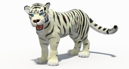 Cartoon Tiger White (3D)