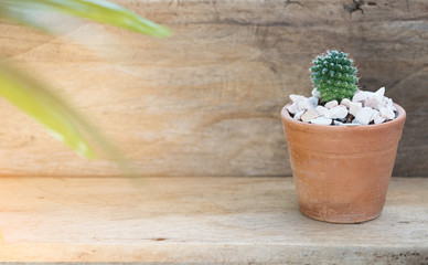 Cactus plant on clay flowerpot over wooden top background