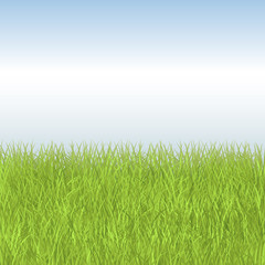 Fototapeta na wymiar Summer field with fresh green grass and blue sky. Natural vector background
