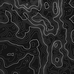 Topographic map background with space for copy . Line topography map contour background , geographic grid abstract vector illustration . Mountain hiking trail over terrain .