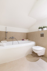 Fototapeta na wymiar Bathroom interior with a modern bathtub