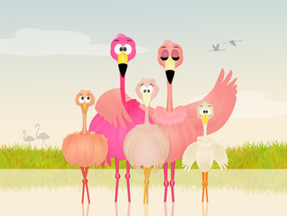 pink flamingos family
