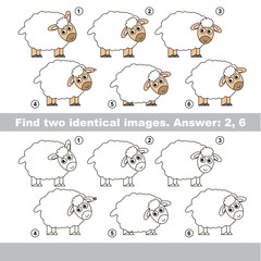 Visual game. Find hidden pair of objects.