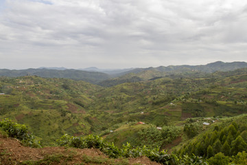Fototapeta na wymiar Hillside landscape Rwanda, Africa