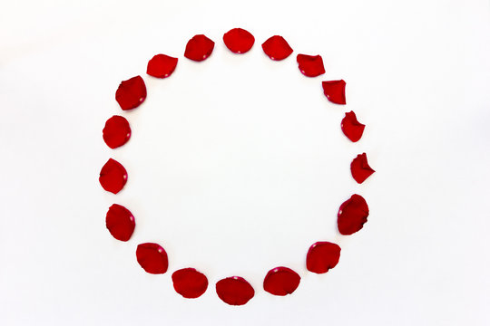 round frame of red rose petals on white background with space for text. the view from the top