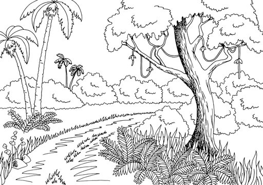 Jungle road graphic black white landscape sketch illustration vector