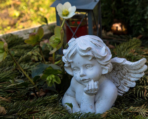Engel mit Christrose auf Grab