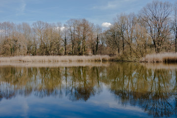 Fototapeta na wymiar Impressionen Einsame Landschaft mit See und Bäumen