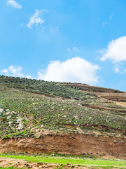 Fototapeta na wymiar hill slope with terraced gardens in Jordan