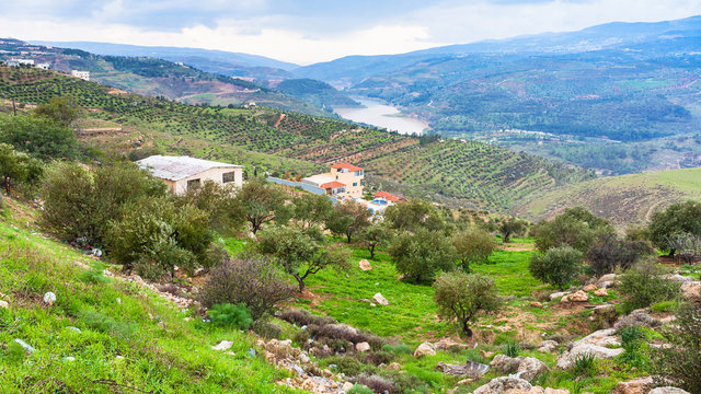 terraced gardens in valley Zarga River in Jordan