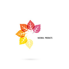 Circle of colorful leaves icon with nature concept.Leaves vector logo design template.Design for Business logo,product brand,banner or abstract symbol