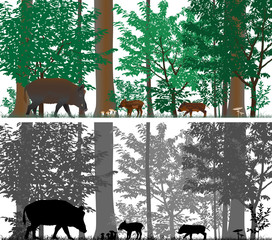 Wild boars on the background of trees. Colour and black-and-white vector.
