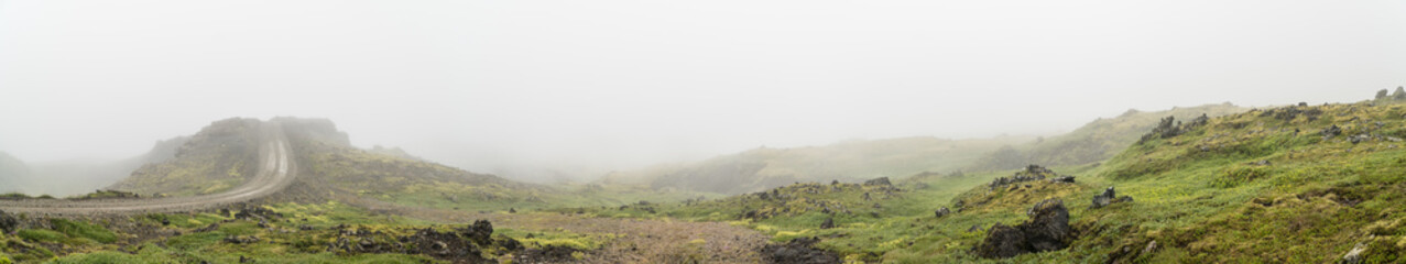 Fototapeta na wymiar Icelandic lava rocks