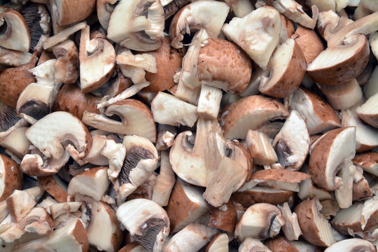 mushroom meal cut