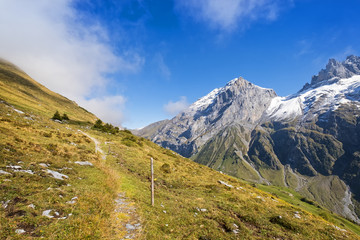 Fototapeta premium Small mountain hiking path in swiss alps