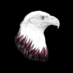 Head of the majestic eagle with colored feathers, painted with graceful lines, on a black background	