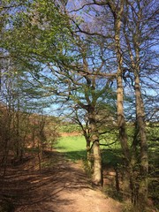 Frühlingserwachen der Natur