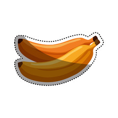Delicious bananas fruit vector illustration graphic design