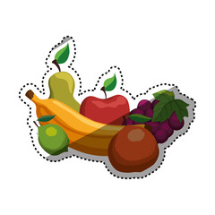 Delicious and healthy food vector illustration graphic design