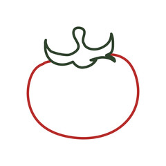 Fresh tomato vegetable vector illustration graphic design