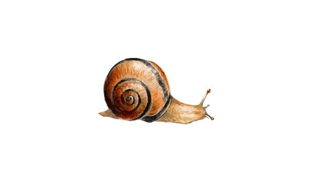 Garden snail crawling on a white background from left to right, cartoon animation 