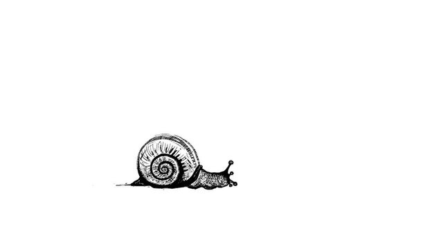 Garden snail crawling on a white background from left to right, cartoon animation