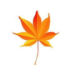 Feuille d'automne