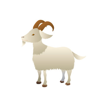 Goat farm animal vector illustration graphic design