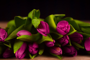Bunch of purple tulips