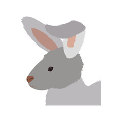 Bunny rabbit farm animal vector illustration graphic design