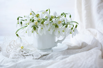 Snowdrops in a cup