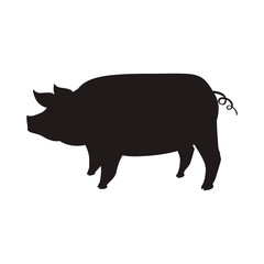 Pig farm animal vector illustration graphic design