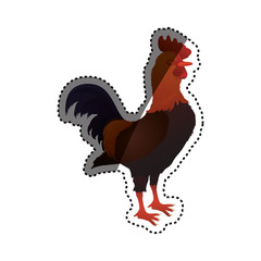 Rooster farm animal vector illustration graphic design