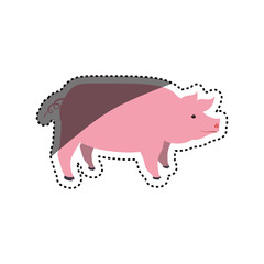 Pig farm animal vector illustration graphic design