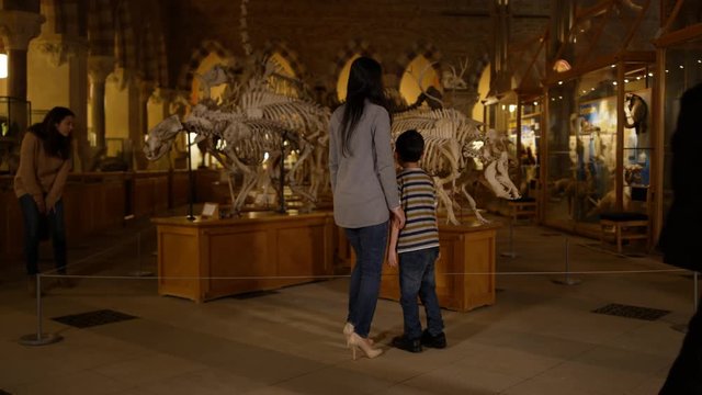  Visitors looking at exhibits in natural history museum