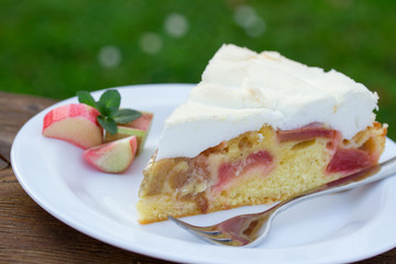 frischer Rhabarberkuchen