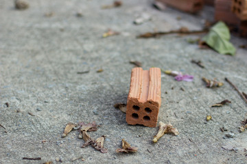 red brick on the concrete floor with some dry of the flower,