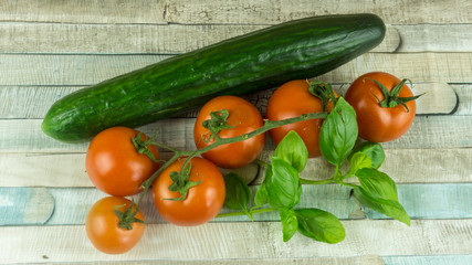 Red tomatoes and cucumbers with basil on a wooden table