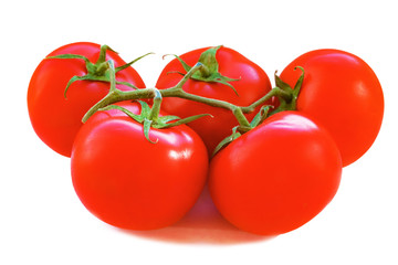 Fresh red tomatoes on green branch on white background closeup
