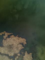 Aerial view of a lake in the bavarian alps with green meadows around